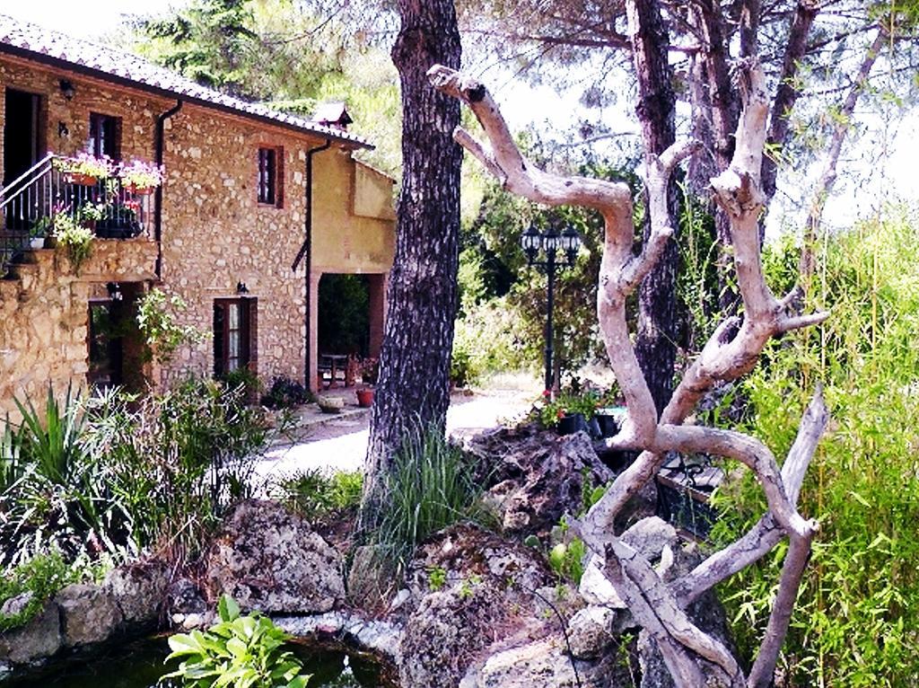 Agriturismo Il Poderino Бибона Екстериор снимка