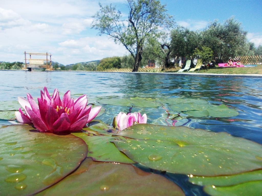 Agriturismo Il Poderino Бибона Екстериор снимка
