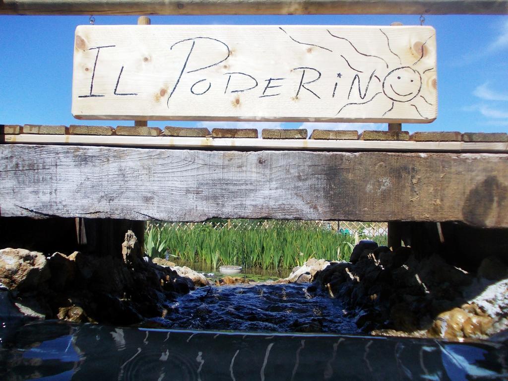 Agriturismo Il Poderino Бибона Екстериор снимка