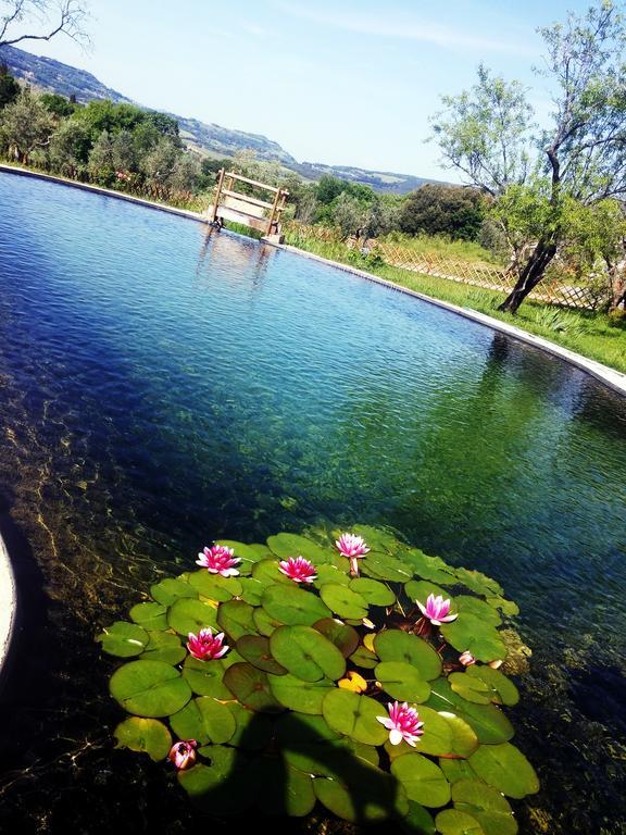 Agriturismo Il Poderino Бибона Екстериор снимка