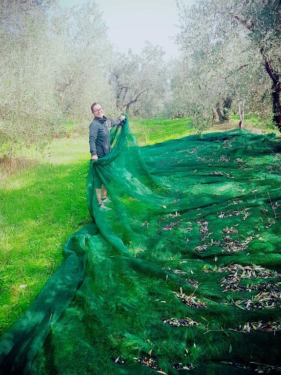 Agriturismo Il Poderino Бибона Екстериор снимка