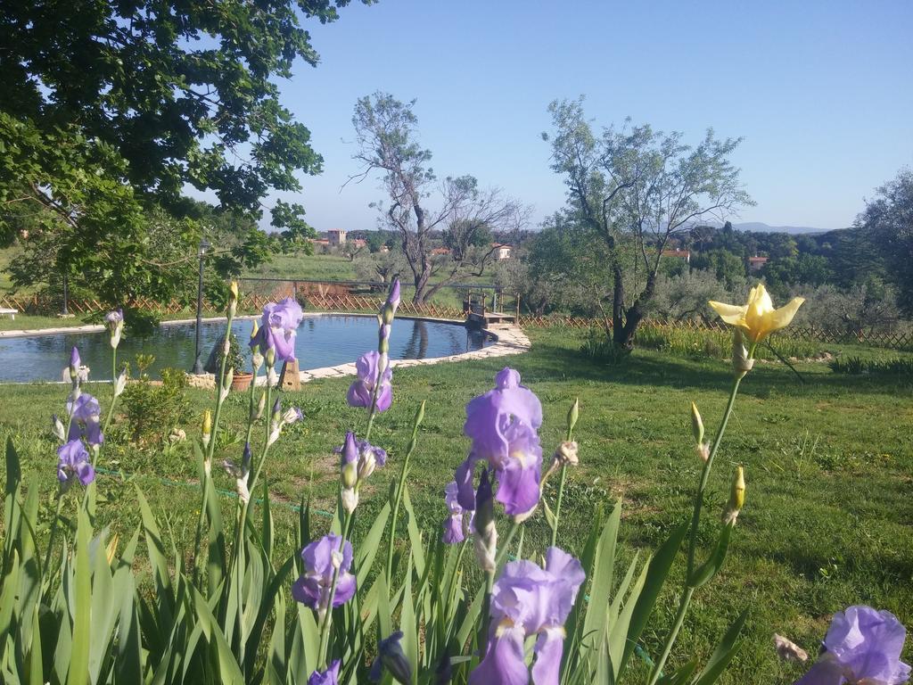 Agriturismo Il Poderino Бибона Екстериор снимка