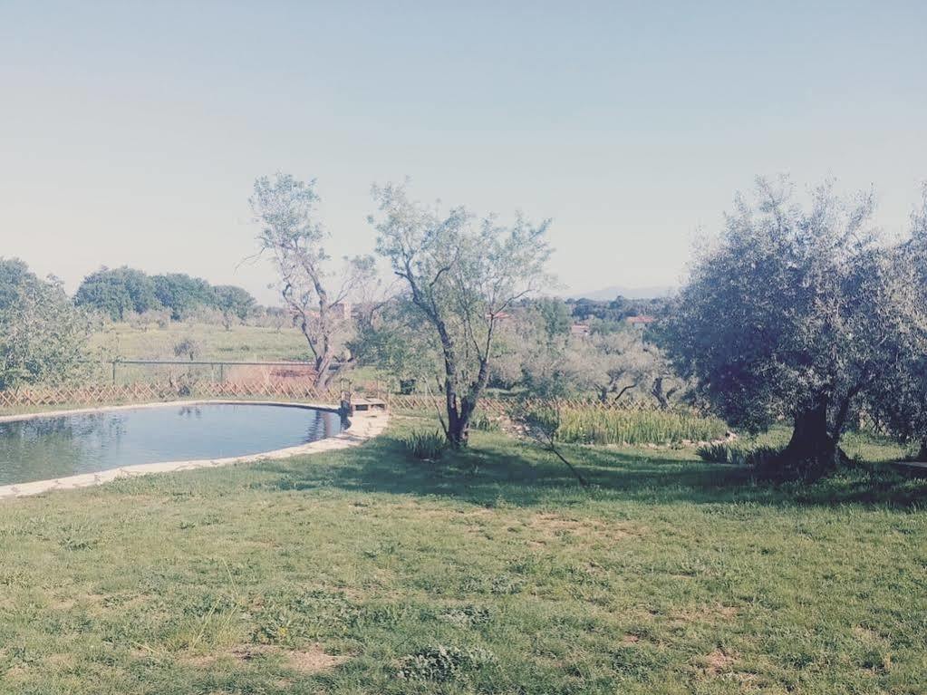 Agriturismo Il Poderino Бибона Екстериор снимка