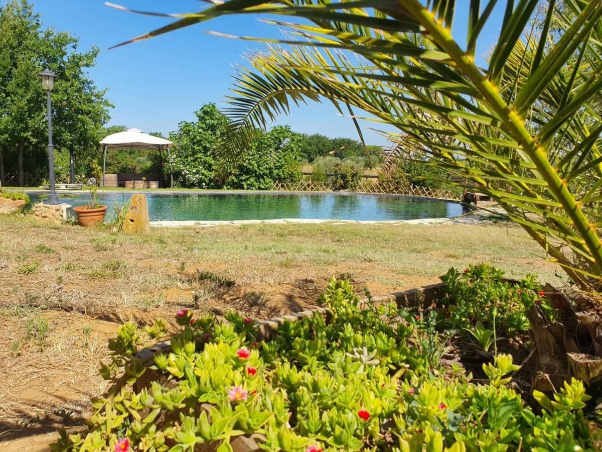 Agriturismo Il Poderino Бибона Екстериор снимка